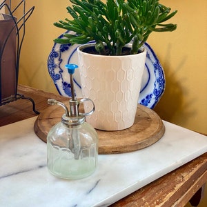 Fabulous Vintage Glass Plant Mister      Perfect gift for plant lover!