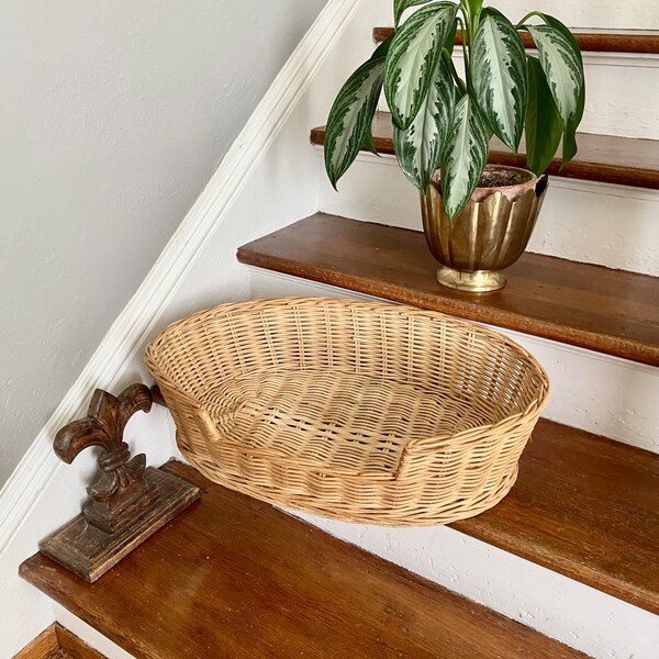 Adorable Counter or Pantry Basket or Add a Cushion for Your Favorite Pet!