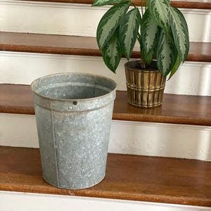 May include: A silver galvanized metal bucket with a small hole in the side, sitting on wooden stairs. A potted plant with green and silver leaves is in the background.