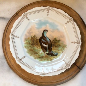 Puede incluir: Un plato de porcelana blanca con un borde dorado y una ilustración detallada de un urogallo negro en un entorno de bosque.
