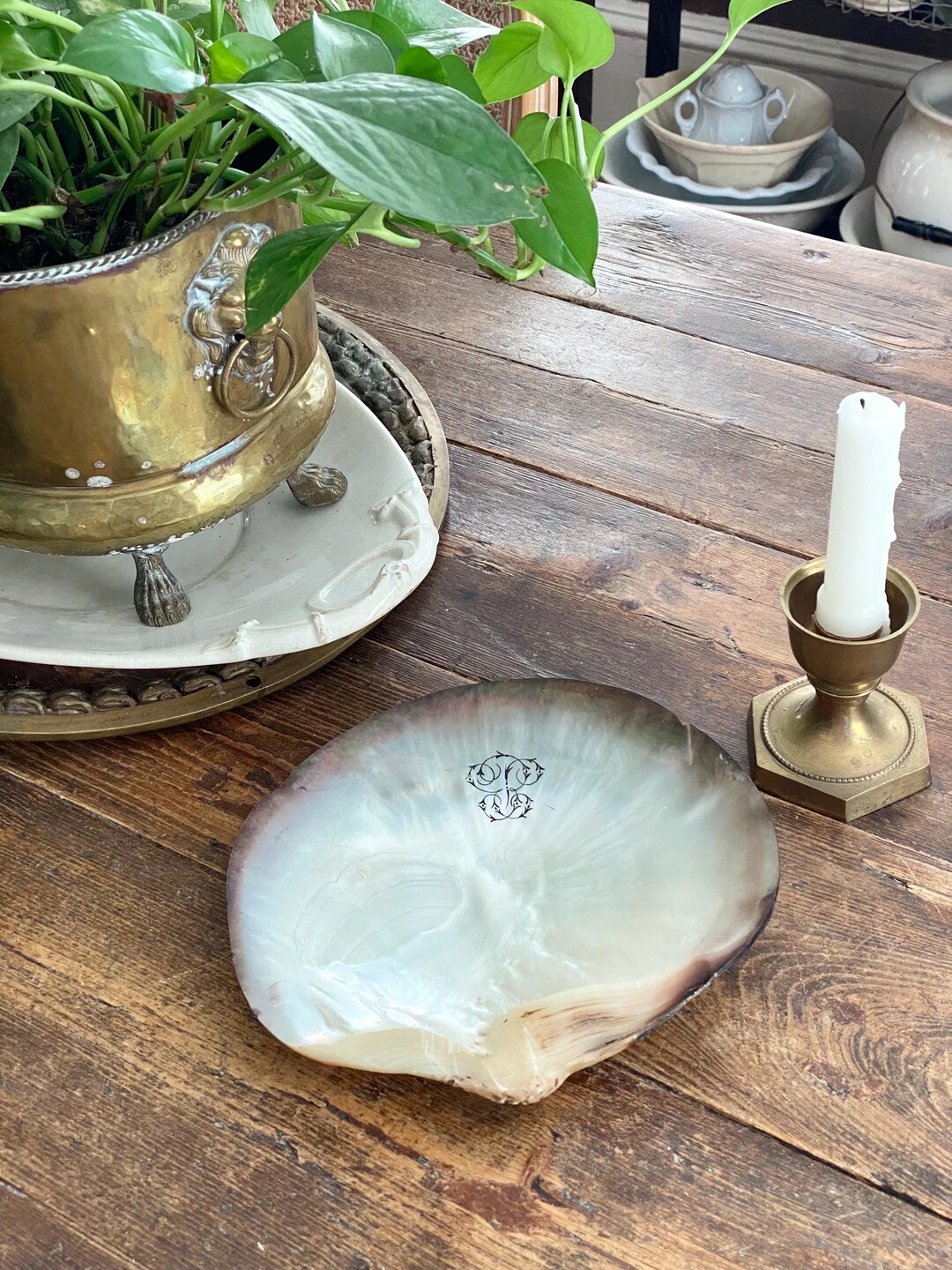 Vintage Monogrammed P Abalone Shell Perfect on a Gallery Wall or Coffee ...