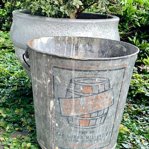 May include: A vintage galvanized metal bucket with a faded red, white, and brown label that reads "Red Star Wheat Flour" and "Made by The Huron Milling Co. Harbor Beach, Mich. "The bucket is sitting on a bed of green foliage.