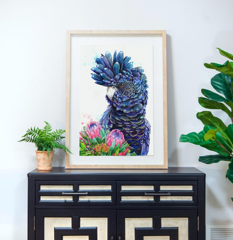Puede incluir: Una pintura de acuarela enmarcada de un cacat&uacute;a negro con plumas azules y moradas, rodeado de flores de protea rosas y verdes.