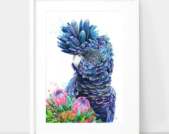 May include: A blue and black cockatoo with a white crest, surrounded by pink and green protea flowers. The bird is looking to the right of the image.