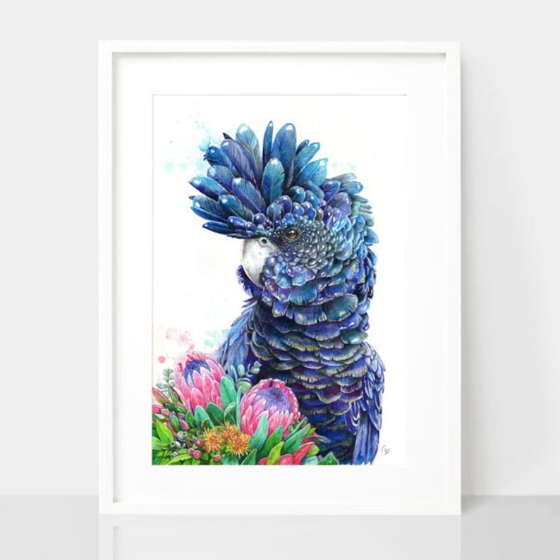 Puede incluir: Un cacat&uacute;a azul y negro con una cresta blanca, rodeado de flores de protea rosas y verdes. El p&aacute;jaro est&aacute; mirando hacia la derecha de la imagen.