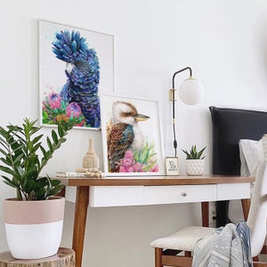 Puede incluir: Dos pinturas de acuarela enmarcadas de aves australianas. La primera pintura presenta un cacat&uacute;a negro con una cresta azul y flores rosas. La segunda pintura presenta un kookaburra con plumas marrones y azules y flores rosas.