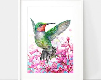 Puede incluir: Una pintura de acuarela de un colibrí con plumas verdes y rojas flotando sobre flores rosas. El colibrí está en pleno vuelo con sus alas extendidas. El fondo es una acuarela de color azul claro y blanco.