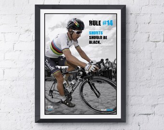 Peter Sagan roar decal