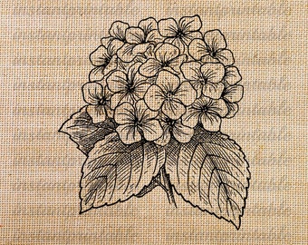 Druckbare Blume Kunst, sofortiges Download floral digital Clipart, Eisen Versetzungen--keine 185 Artikel