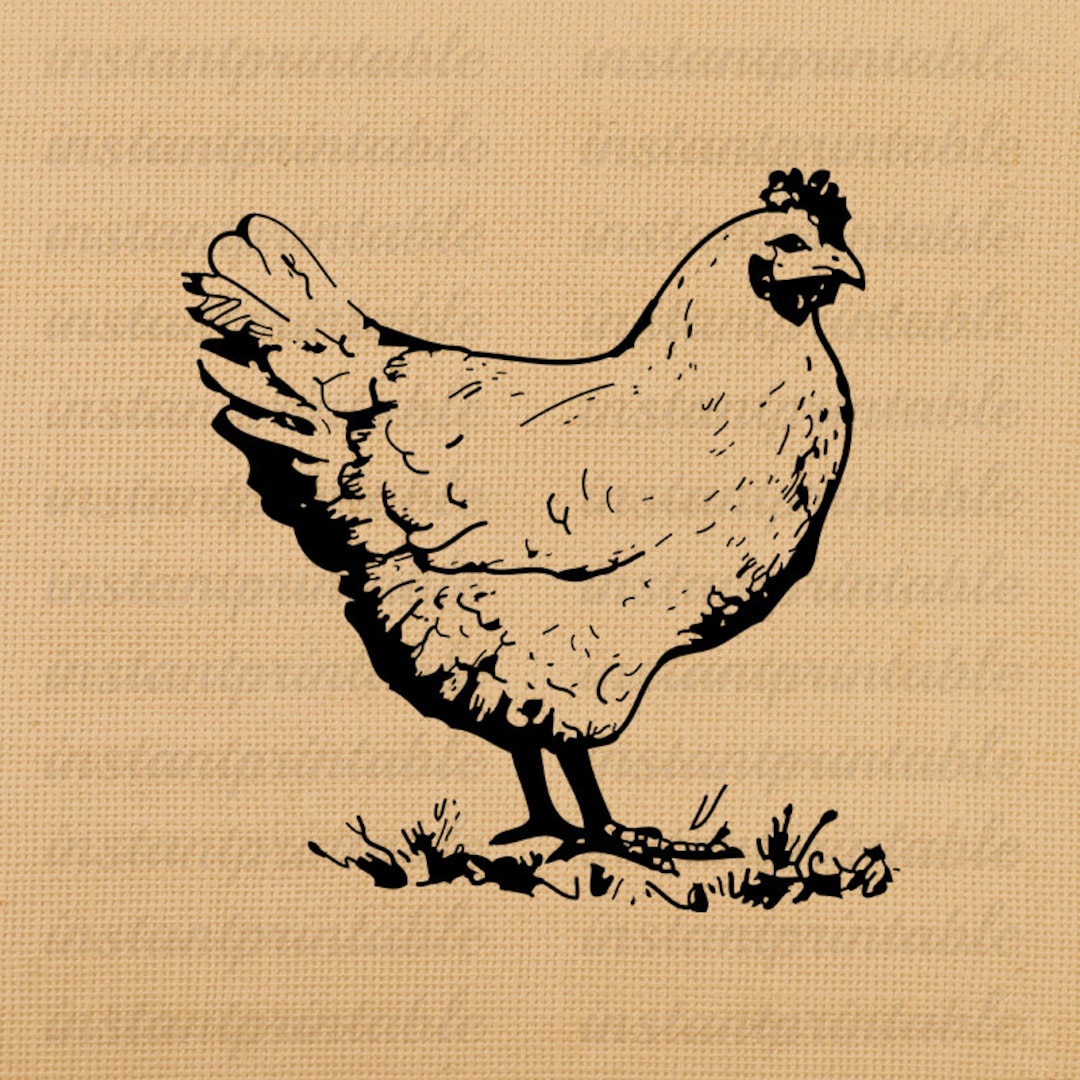 Chicken Digital Image, Instant Download, Printable Iron on Fabric ...