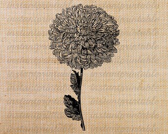 Druckbare Blume Kunst, sofortiges Download floral digital Clipart, Eisen Versetzungen--Posten keine 187
