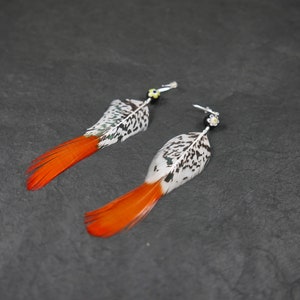 Pair of earrings