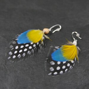 Pair of earrings