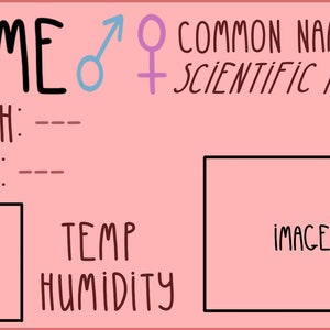 Op de afbeelding: Een roze kaart met zwarte tekst en een zwarte rand. De kaart heeft de woorden "NAME", "COMMON NAME", "SCIENTIFIC NAME", "MORPH", "BORN", "RANGE", "TEMP", "HUMIDITY" en "IMAGE". Er zijn ook symbolen voor man en vrouw.
