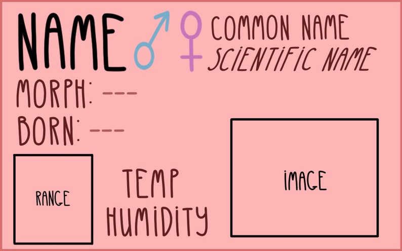 Op de afbeelding: Een roze kaart met zwarte tekst en een zwarte rand. De kaart heeft de woorden "NAME", "COMMON NAME", "SCIENTIFIC NAME", "MORPH", "BORN", "RANGE", "TEMP", "HUMIDITY" en "IMAGE". Er zijn ook symbolen voor man en vrouw.