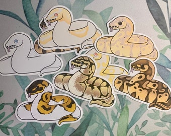 Ball Python Stickers | Popular Ball Python Morphs | Albino Pied | Pied | Pastel | Banana | Blue-Eyed Leucistic; and more!
