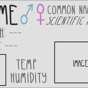 Op de afbeelding: Een grijs en wit kaartje met de woorden "NAME", "COMMON NAME" en "SCIENTIFIC NAME" in het zwart geschreven. Het kaartje heeft ook de woorden "MORPH", "BORN", "RANGE", "TEMP", "HUMIDITY" en "IMAGE" in het zwart geschreven. Er zijn ook symbolen voor man en vrouw.