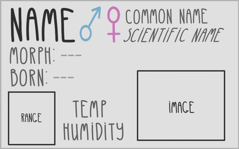 Op de afbeelding: Een grijs en wit kaartje met de woorden "NAME", "COMMON NAME" en "SCIENTIFIC NAME" in het zwart geschreven. Het kaartje heeft ook de woorden "MORPH", "BORN", "RANGE", "TEMP", "HUMIDITY" en "IMAGE" in het zwart geschreven. Er zijn ook symbolen voor man en vrouw.