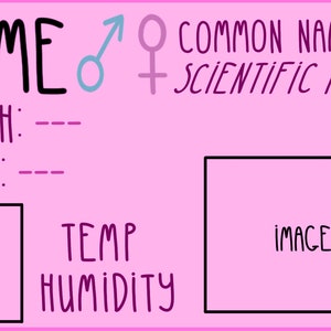 Op de afbeelding: Een roze kaart met zwarte tekst en een zwarte rand. De kaart heeft de woorden "NAME", "MORPH", "BORN", "RANGE", "TEMP", "HUMIDITY", "COMMON NAME", "SCIENTIFIC NAME" en "IMAGE". Er zijn ook symbolen voor man en vrouw.