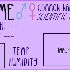 Op de afbeelding: Een paarse kaart met een zwarte rand en de tekst "NAME", "MORPH:", "BORN:", "RANGE", "TEMP HUMIDITY", "COMMON NAME", "SCIENTIFIC NAME" en "IMAGE". Er zijn ook symbolen voor mannelijk en vrouwelijk.