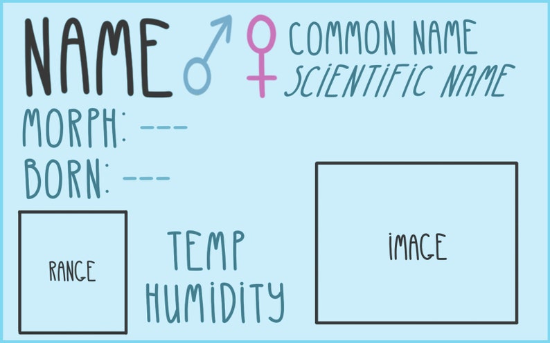 Op de afbeelding: Een blauwe en witte kaart met de woorden "NAME", "MORPH", "BORN", "RANGE", "TEMP", "HUMIDITY", "COMMON NAME", "SCIENTIFIC NAME" en "IMAGE". Er zijn ook symbolen voor mannelijk en vrouwelijk.