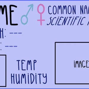 Op de afbeelding: Een lichtblauwe kaart met een zwarte rand. Op de kaart staan de woorden "NAME", "MORPH", "BORN", "RANGE", "TEMP", "HUMIDITY", "COMMON NAME", "SCIENTIFIC NAME" en "IMAGE" gedrukt. Er zijn ook symbolen voor mannelijk en vrouwelijk.