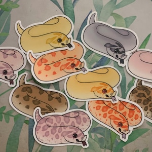 Puede incluir: Un conjunto de diez pegatinas de serpientes de colores. Las pegatinas presentan diferentes especies de serpientes con varios patrones y colores, incluyendo marrón, naranja, amarillo, rosa y gris.
