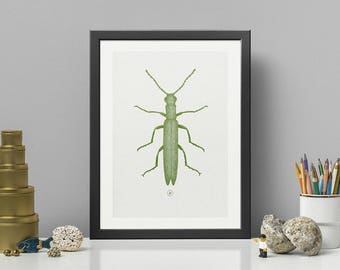 THIN BEETLE | Green HQ Pigment Print on eco-friendly paper