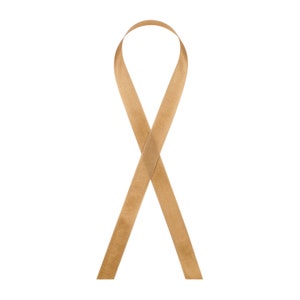 Havanna Braun 110 Seam Binding 2.0 Rayonband - 1/2 "