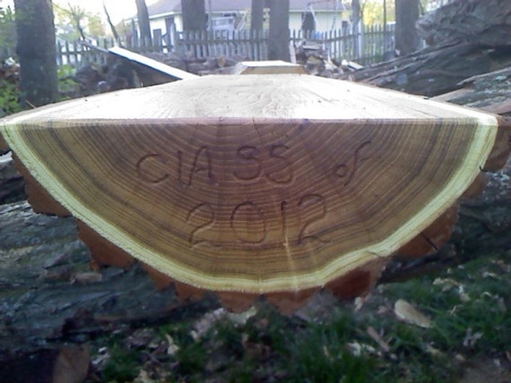Set Of 3 Log Benches For Outdoor Use Etsy