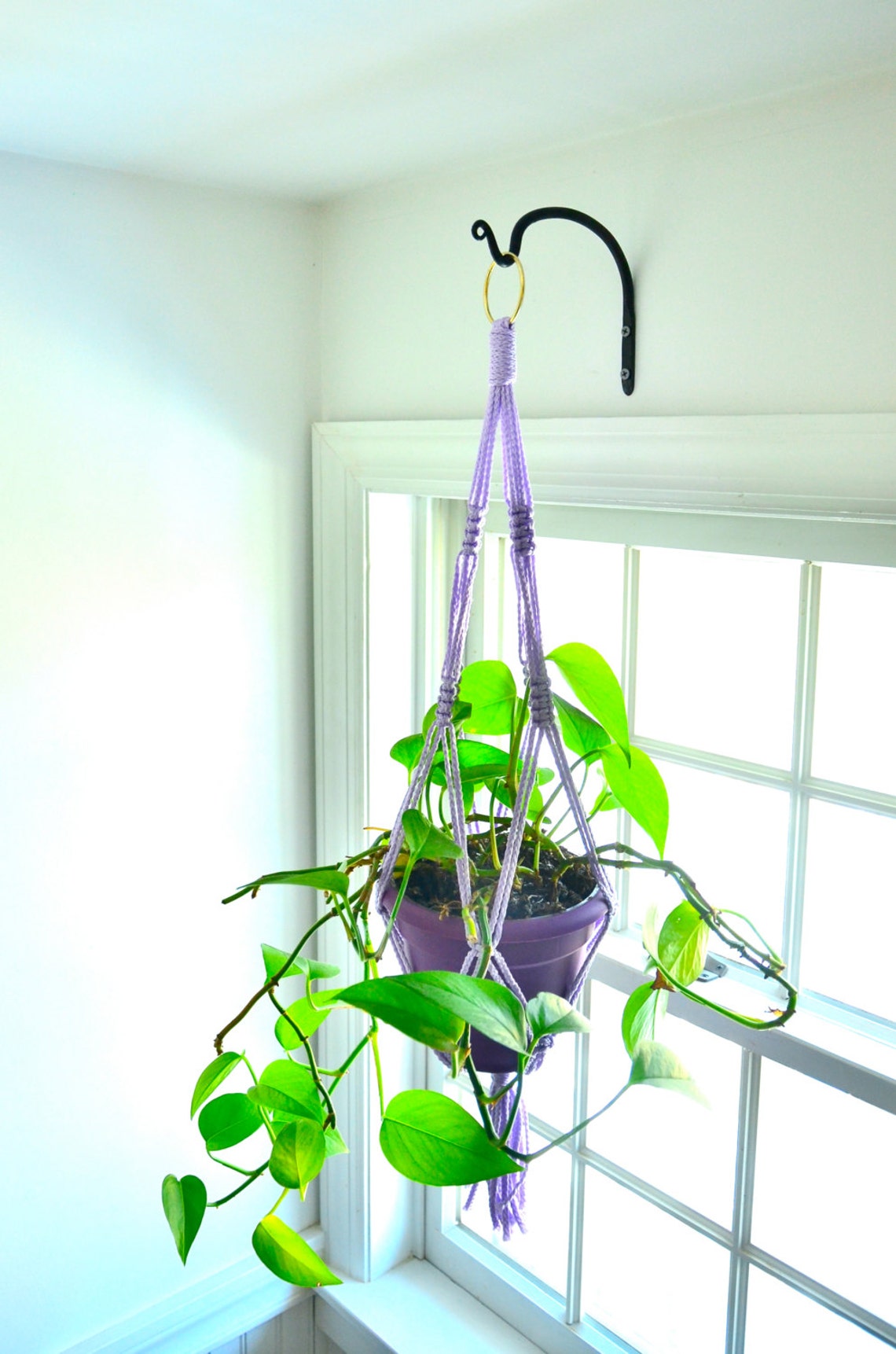 Hanging Plant Hook / Steel Wall Hook / Indoor Hanging Plant / Hand Made ...