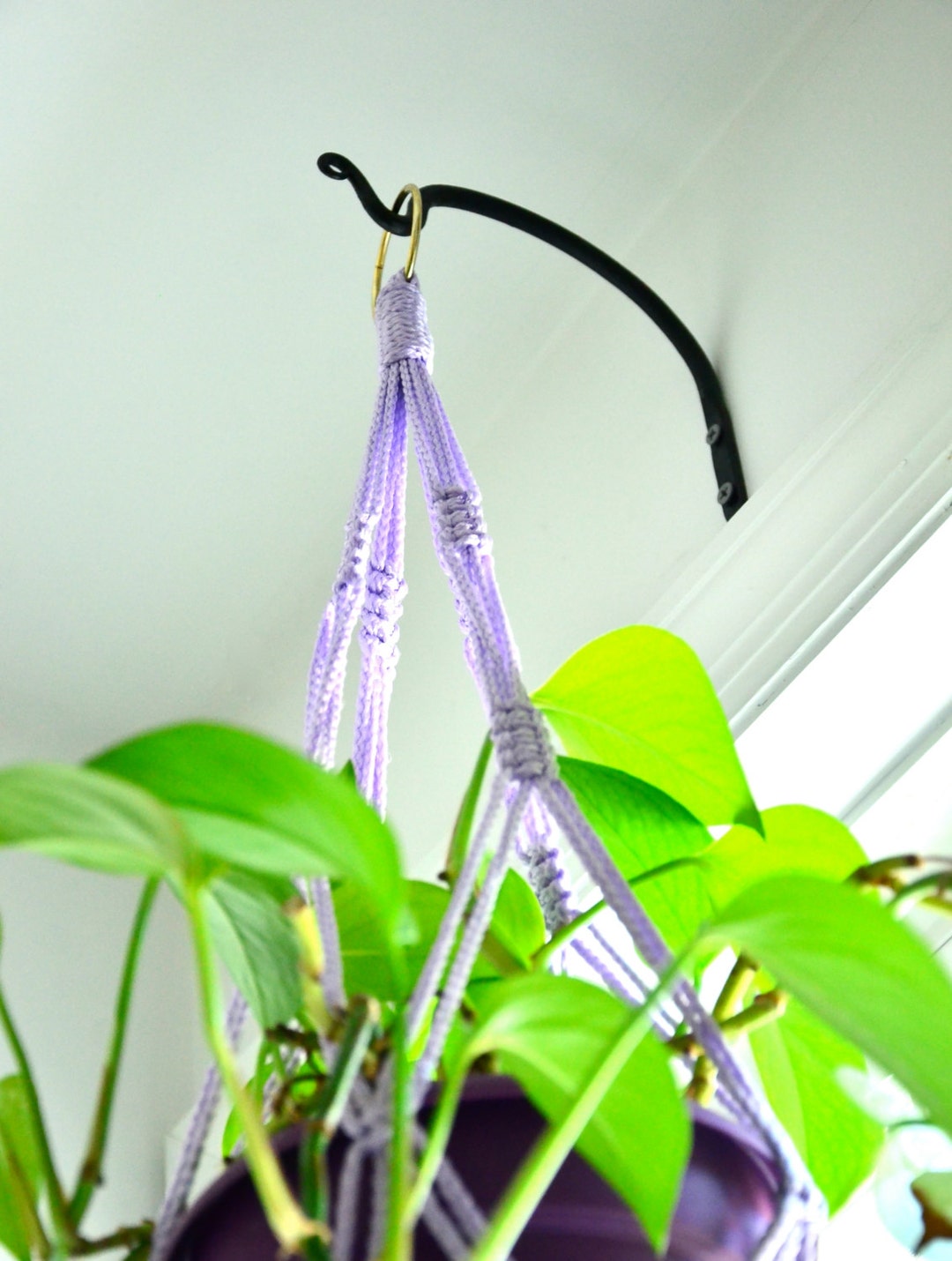 Hanging Plant Hook / Steel Wall Hook / Indoor Hanging Plant / Hand Made