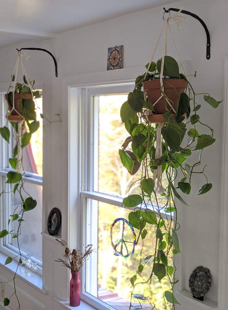 Hanging Plant Hook / Steel Wall Hook / Indoor Hanging