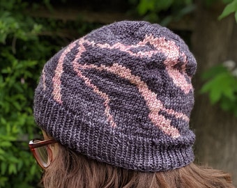 Black Canyon of the Gunnison National Park Beanie Knitting Pattern