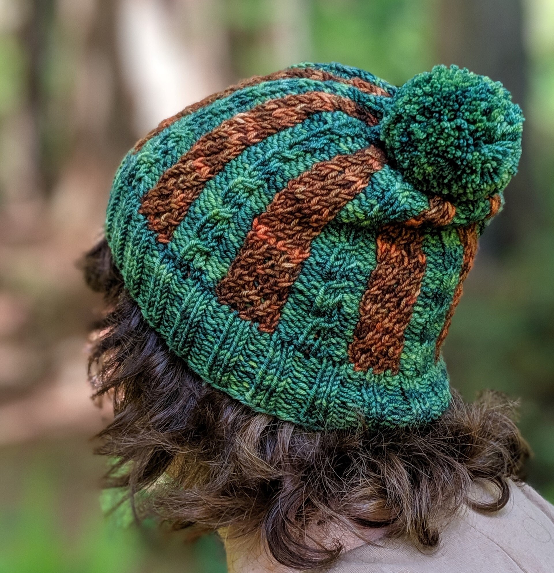 Redwood National Park Beanie Knitting Pattern Etsy