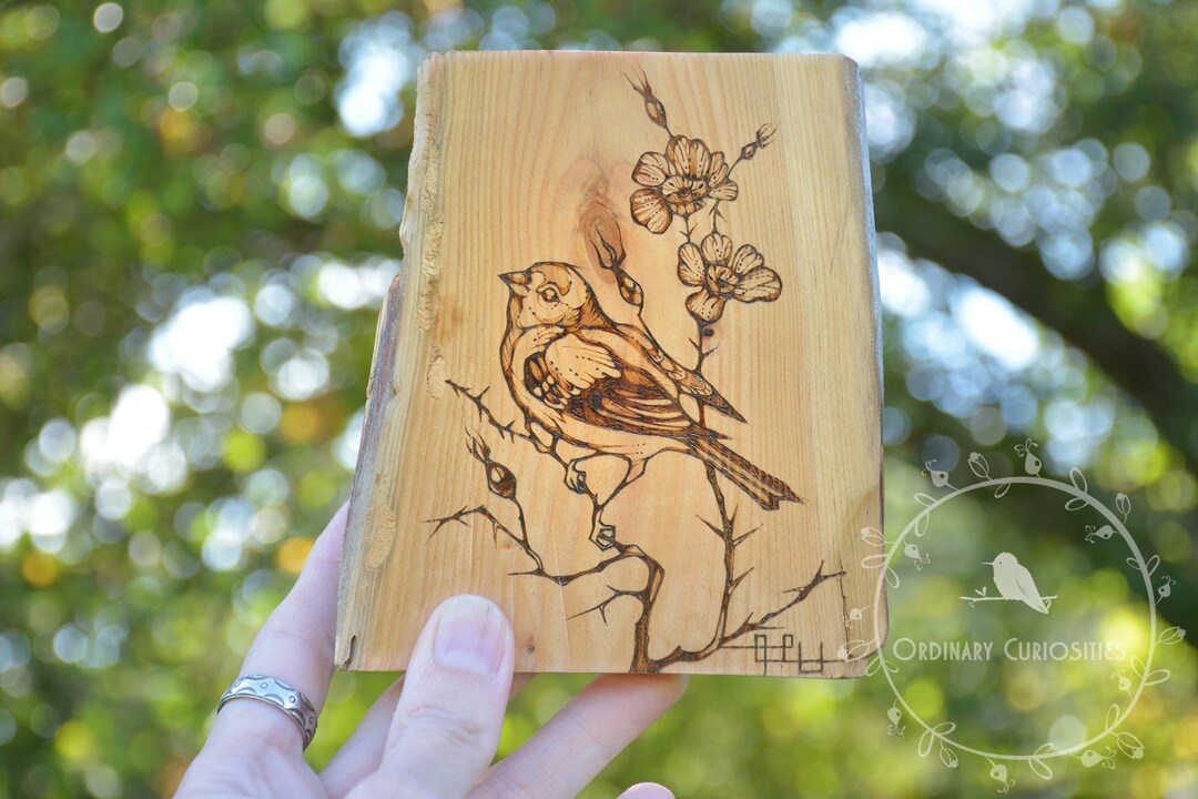 Wood Burning-little Bird-pyrography-art-small-bird-wildflower-wild Rose ...