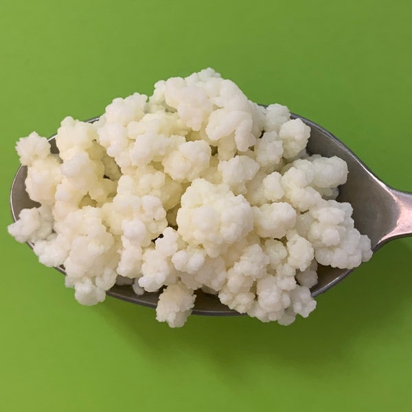 Tibetian Kefir Grains