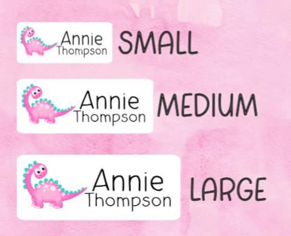Girl Dinosaur Clothing Labels for Kids