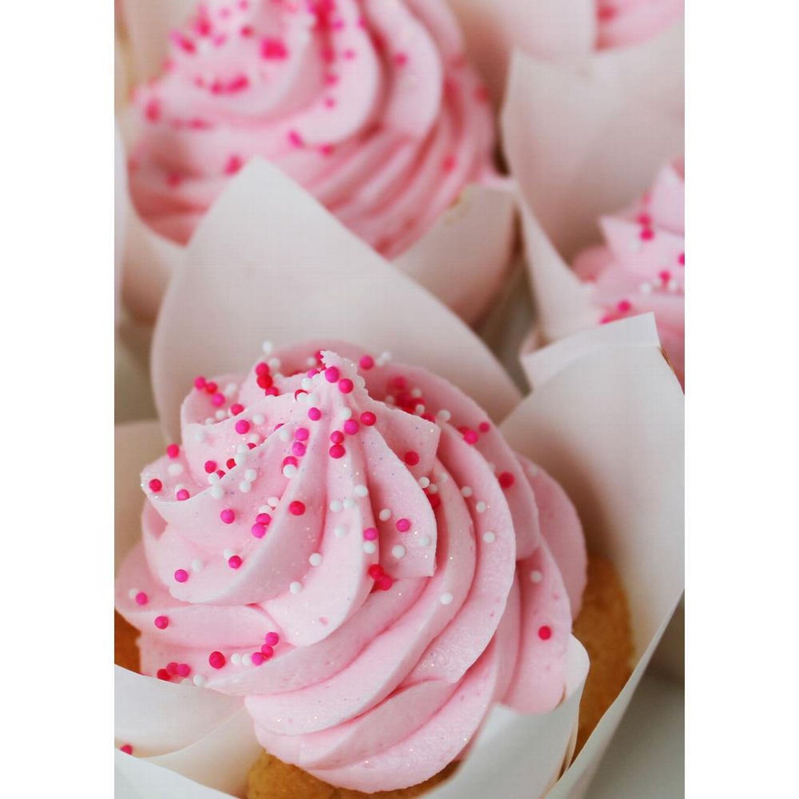 Wedding Cupcake Liners / Baking Tulip Cups/ White Tuplip Etsy