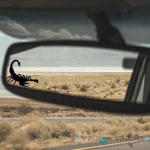 Scorpion Hidden Easter Egg Decal, Windshield Decal Sticker, Funny Car Decal, Hidden Truck Vinyl Decal,  Cell Phone Sticker, Gifts For Men
