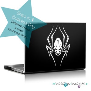 Spider Skull car decal, laptop decal, skull car decal, skeleton car decal, skeleton laptop sticker, motorcycle decal, car decals for men