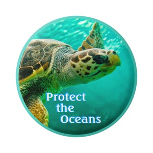 May include: A green and blue circular button with a sea turtle swimming underwater. The text "Protect the Oceans" is printed in blue on the button.
