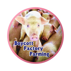 Boycott Factory Farming Anti Animal Cruelty Pro Organic Free Range Farming Button Pinback for Backpacks, Jackets, Hats or Fridge Magnet 1.5&quot;
