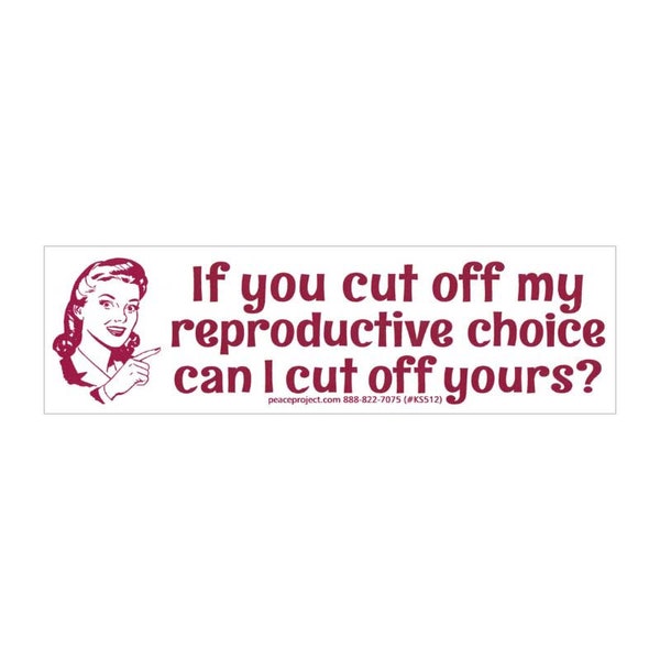 If You Cut Off My Reproductive Choice Pro-Choice Women Abortion Rights Small Car Bumper Sticker Laptop Decal or Fridge Magnet 6.2-by-1.8