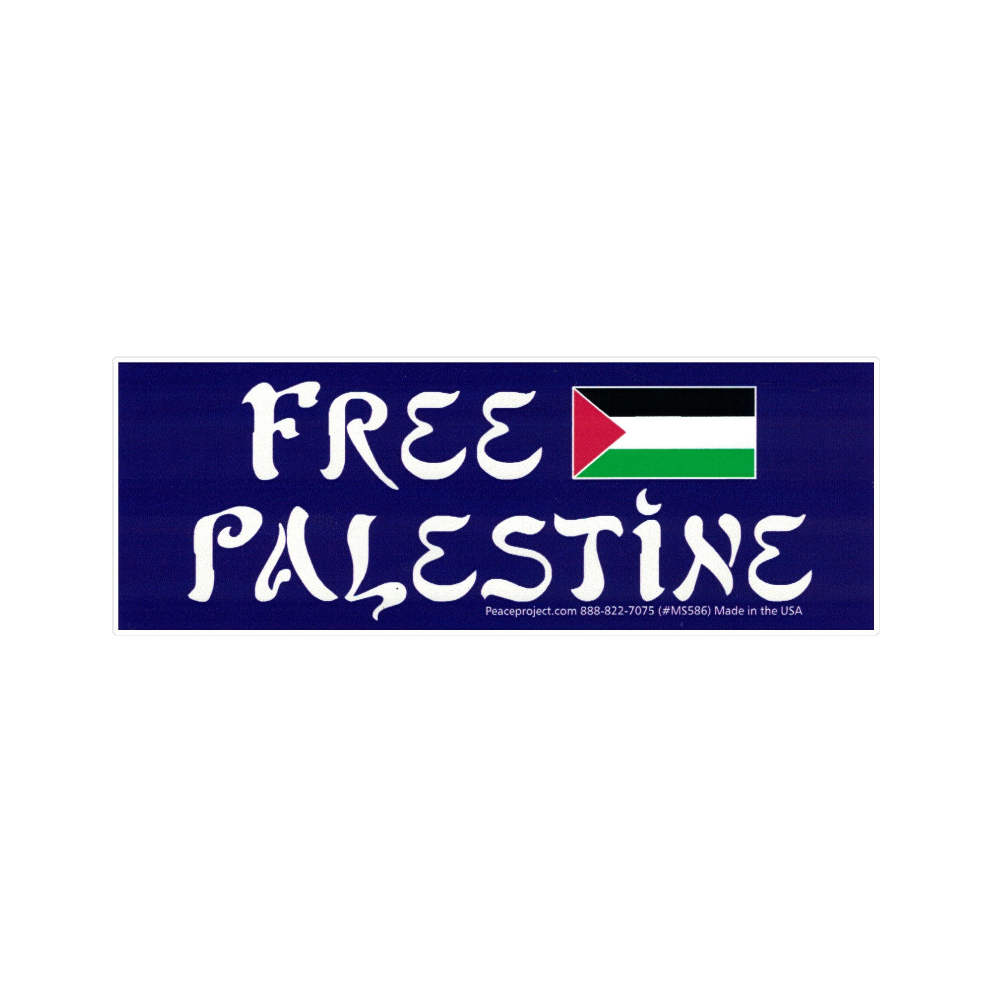 Manifestazione Pro-palestinese Per Il Cessate Il Fuoco Israele-Gaza A Freedom Plaza. Washington - Foto 8