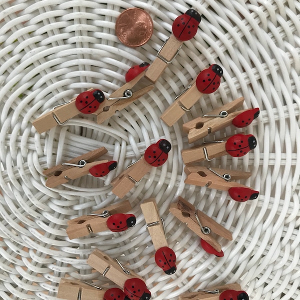 Set of 15 Wood Ladybug Clothespins  35mm Embellishments Scrapbooking Baby Crafts Wedding Decorations Floral Garden Supply Floral Bug