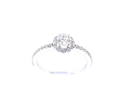 14K White Gold Diamond Halo Engagement Ring - SJ2252HRER