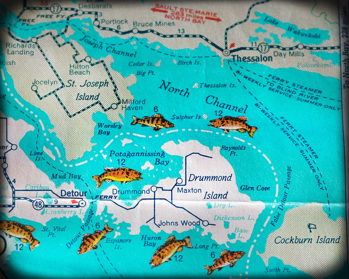 Drummond Island Michigan Retro Map Print Funky Vintage Etsy drummond-island-michigan-retro-map-print-funky-vintage-etsy