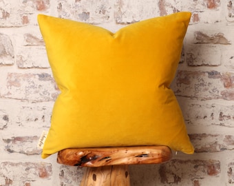 Chartreuse Yellow Alvar Velvet Cushion Cover, Chartreuse Yellow Pillow,  Colour Block, 18 x 18 Inch, 12 x 20 Inch, 20 x 20 Inch 22 x 22 Inch