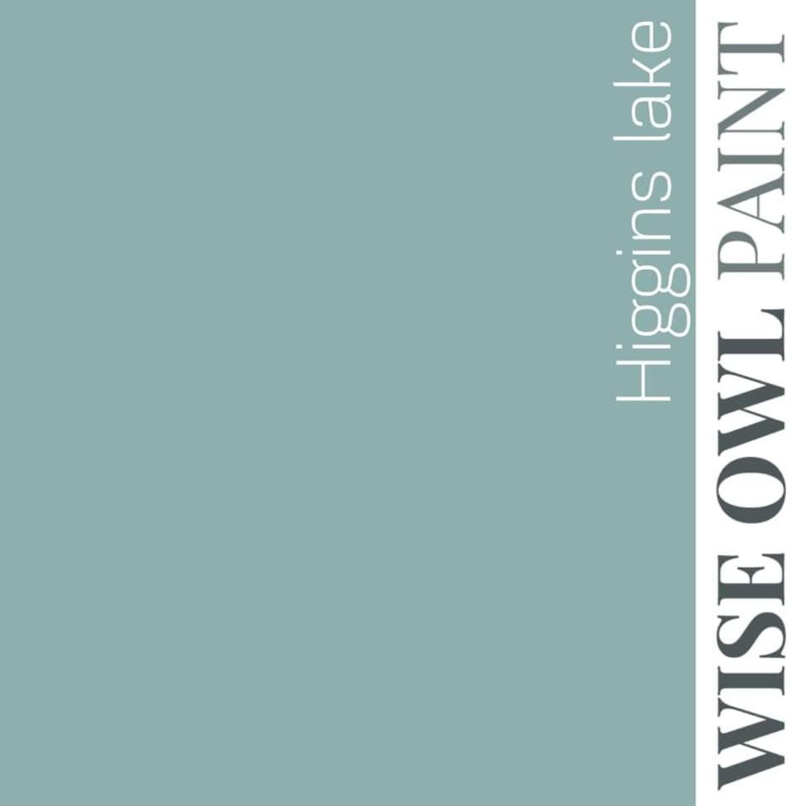 Higgins Lake One Hour Enamel Wise Owl Paint & Etsy